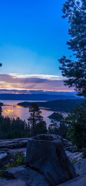 Fondo de California para iPhone X — Honor Play Fondos de pantalla
