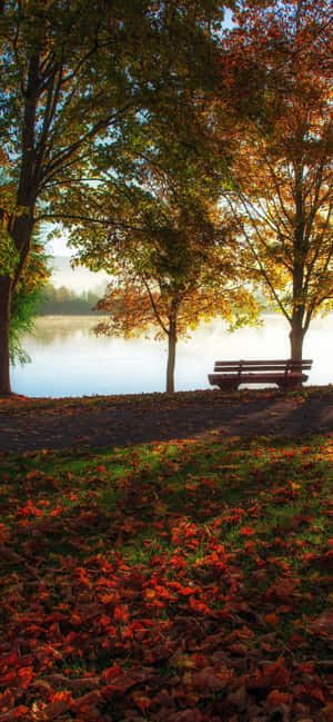 Fondo de otoño para iPhone Xs Max — Redmi Note 15 Special Fondos de pantalla
