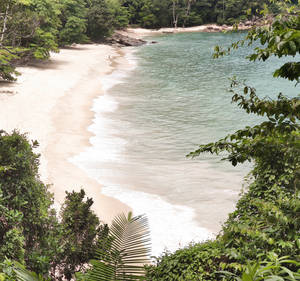 Fondo de pantalla de costa de playa exótica.