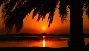 Imágenes de hermosos atardeceres