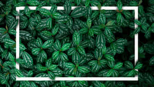 5120x2880 — 5120x2880 Fondos de pantalla
