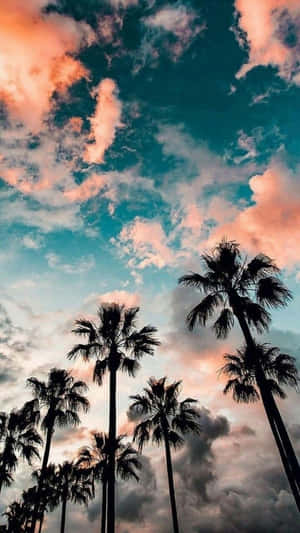 Imágenes de verano