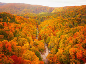Imágenes de otoño