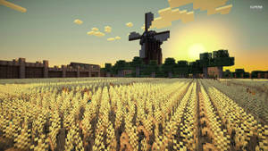Fondo de pantalla de amanecer en arrozal de Minecraft