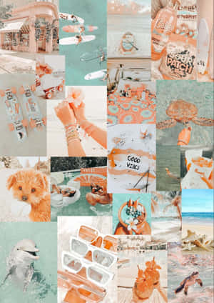 Imágenes de estética preppy — Estética preppy Fondos de pantalla