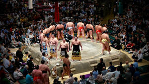 Fondo de pantalla de arena de sumo japonés — Pro Display XDR Fondos de pantalla