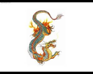 Dragón japonés colorido para PC