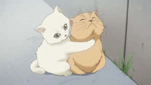Imágenes de Gato Anime — Gato gracioso Fondos de pantalla