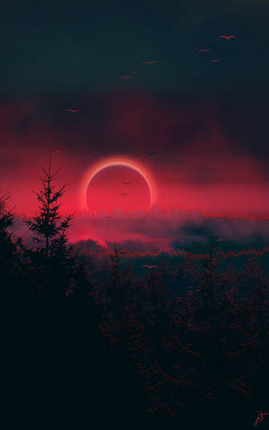 Eclipse Rojo en el Bosque, Un iPhone X Naturaleza — Floral iPhone Fondos de pantalla