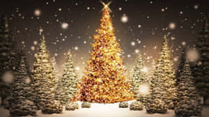 Fondo de Árbol de Navidad — Navidad linda Fondos de pantalla