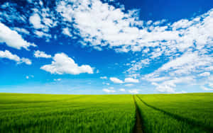 El Cielo Azul Infinito — Cielo Azul Fondos de pantalla
