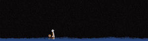 Fondo de pantalla de Calvin y Hobbes bajo un millón de estrellas — 2560x1440 Fondos de pantalla