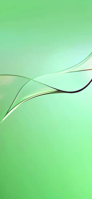 Iphone 11 Verde — iPhone 14 Plus Fondos de pantalla