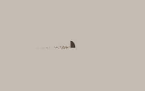 El Encanto de la Estética Beige — Estética beige GIF Fondos de pantalla