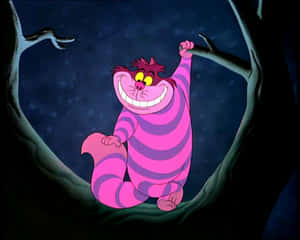 imágenes del Gato de Cheshire — Gato de Cheshire Fondos de pantalla