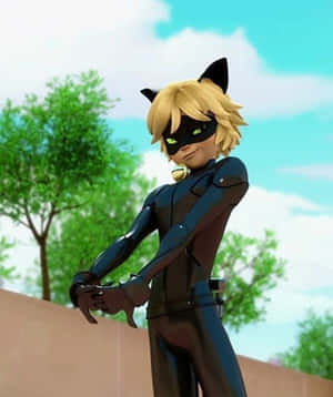 Imágenes de Cat Noir — Cat Noir Fondos de pantalla