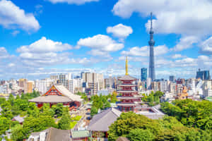 Imágenes de Tokio — Japón GIF Fondos de pantalla