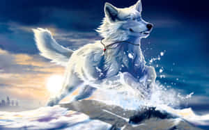 Fotos de lobos geniales — Lobo Fondos de pantalla