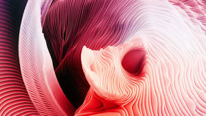 Hermosas curvas y capas abstractas para Macbook