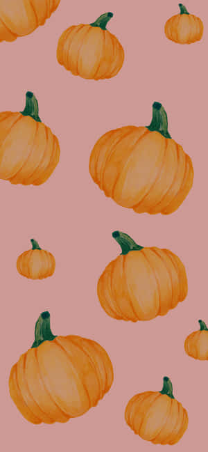 Calabaza Rosa — Vivo X500 Pro Fondos de pantalla