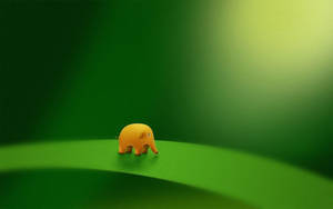 Elefante pequeño adorable para escritorio — Lindo escritorio Fondos de pantalla