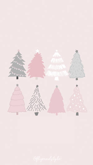 Navidad Prep