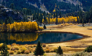 Paisaje con montañas, pinos y un gran lago durante la temporada de otoño. — Otoño Fondos de pantalla