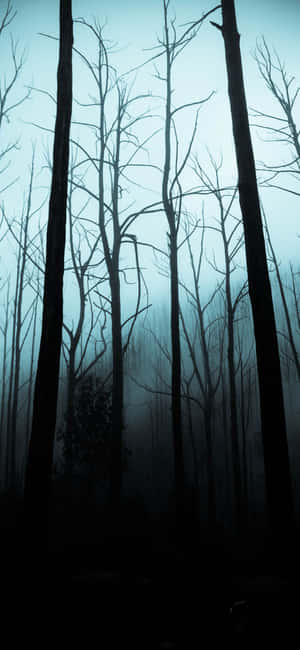 Spooky iPhone — iPhone 11 Pro Max Fondos de pantalla