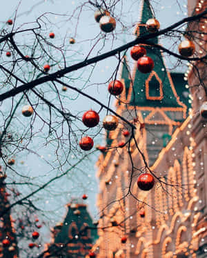 Imágenes estéticas de Navidad — 4:5 Fondos de pantalla