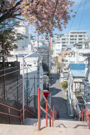 Escalera del Santuario Suga Jinja en HD Japonés — Japón GIF Fondos de pantalla