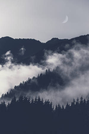 Escenario Forestal para Fondos de iPhone — Montañas Fondos de pantalla