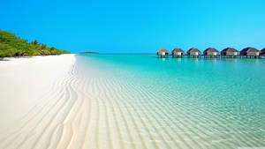 Escritorio de Escenas de Playa