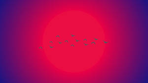 Escritorio Estético Minimalista con Gradiente de Cielo Radiante — Estético minimalista GIF Fondos de pantalla