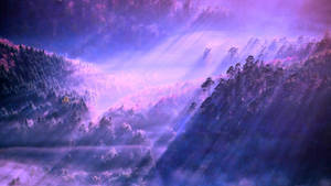 Fondo de pantalla de escritorio estético de bosque neblinoso — Escritorio estético Fondos de pantalla