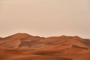 Escritorio estético beige desierto — Estética beige marrón GIF Fondos de pantalla