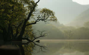 1280x800 — 1280x720 Fondos de pantalla