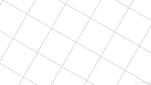 Fondo de Estética Blanca — Estética blanca Fondos de pantalla