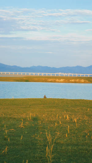 Estética Cottagecore de Lago Relajante