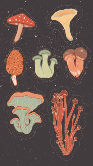 Estética de Hongo de Dibujos Animados — Estética de hongos Fondos de pantalla
