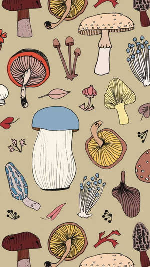 Estética de Hongos Terrosos — Estética de hongos Fondos de pantalla