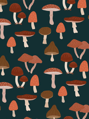 Estética de Hongos Vectoriales — Estética de hongos Fondos de pantalla