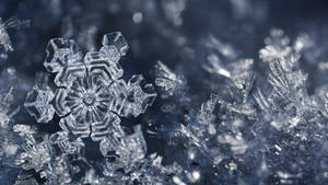 Fondo de pantalla de estética de nieve con carámbanos — Estética de nieve Fondos de pantalla