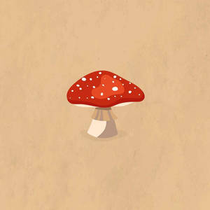 Estética de Seta de Gorro Rojo — Estética de hongos Fondos de pantalla