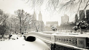 Estética invernal de Central Park — Estética invernal Fondos de pantalla