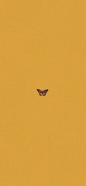 Fondo de pantalla estética mariposa mostaza amarillo — iPhone 12 mini Fondos de pantalla
