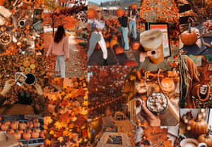 Otoño Lindo