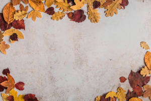 Fondo de pantalla de estética otoñal con hojas secas — Estética otoño Fondos de pantalla