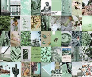 Fondo de pantalla estético verde salvia en mosaico — Estética verde GIF Fondos de pantalla