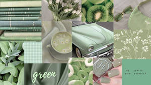 Fondo de pantalla de estética verde salvia suave — Estética verde GIF Fondos de pantalla
