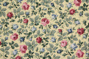 Estética Vintage de Rosas Azules — Estética rosa Fondos de pantalla